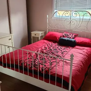 Entire 9 Person House With Sky Light Apartment